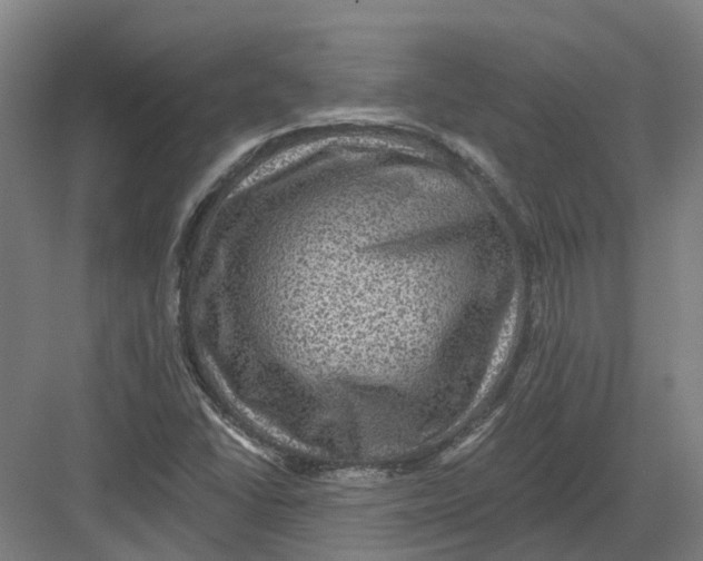 X0000082761406200702162013