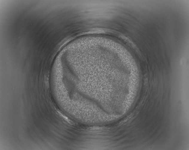 X0000082761409200702162013