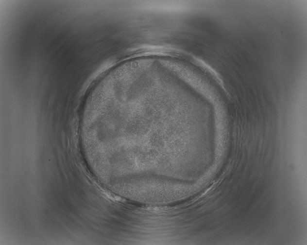 X0000082761411200702162013