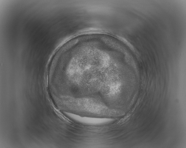 X0000082761413200702162013