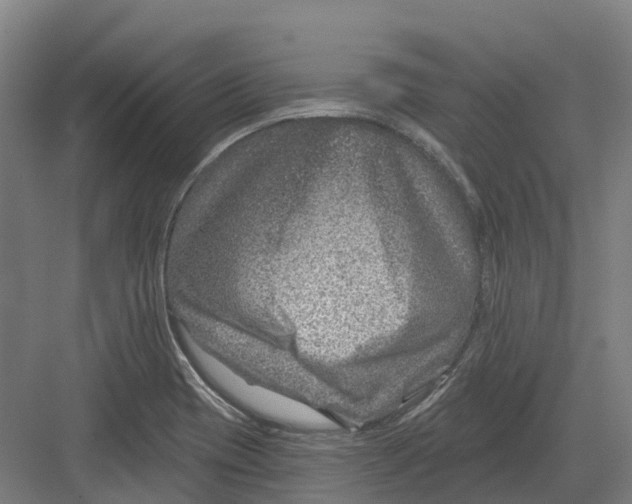 X0000082761417200702162013