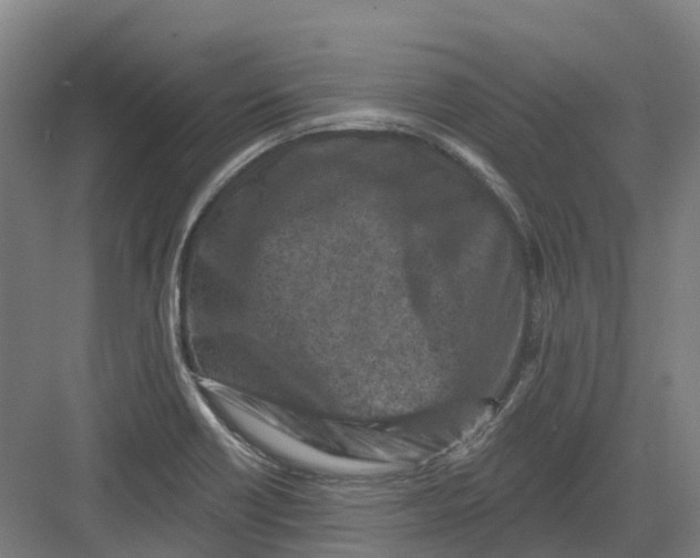 X0000082761418200702162013