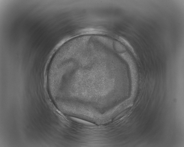 X0000082761419200702162013