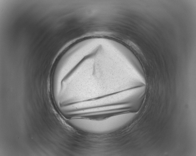 X0000082761420200702162013