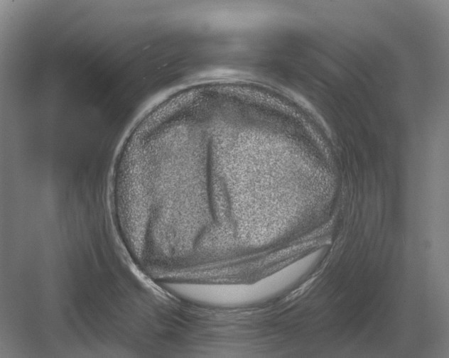 X0000082761421200702162013