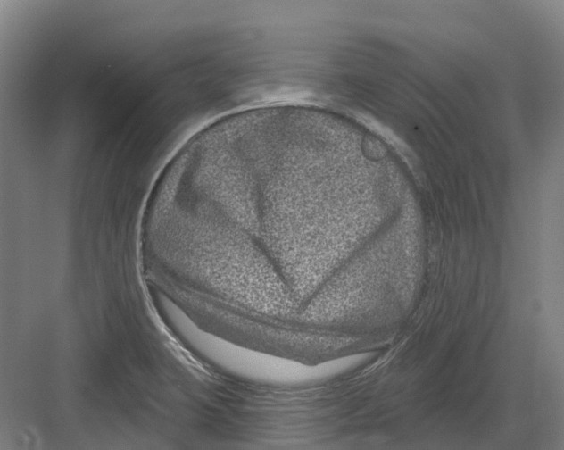 X0000082761423200702162014