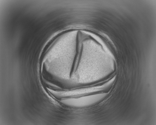 X0000082761424200702162014