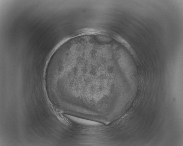 X0000082761427200702162014