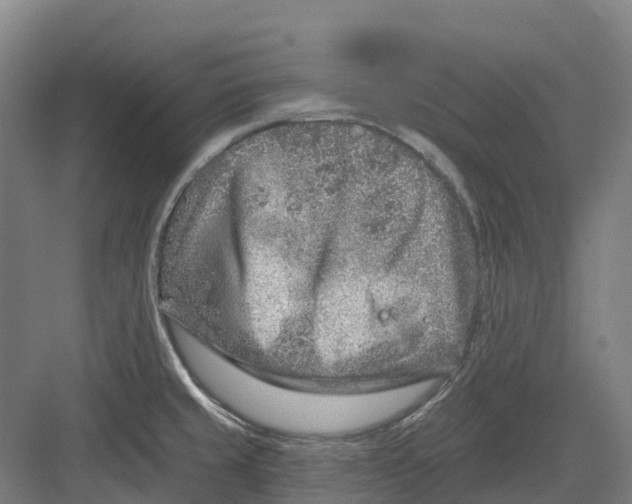 X0000082761429200702162014