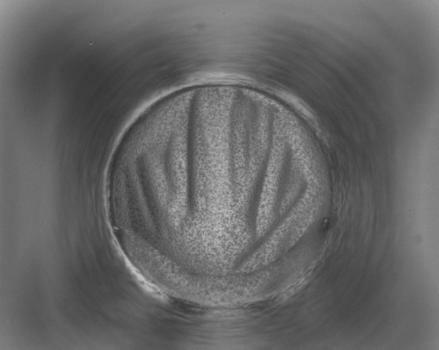 X0000082761430200702162014