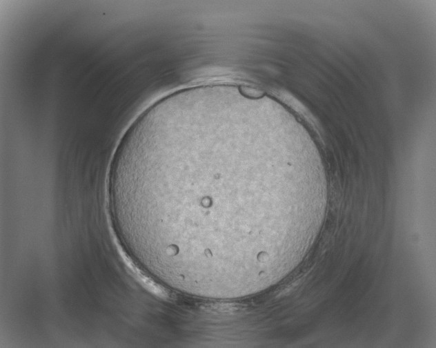 X0000082761431200702162014