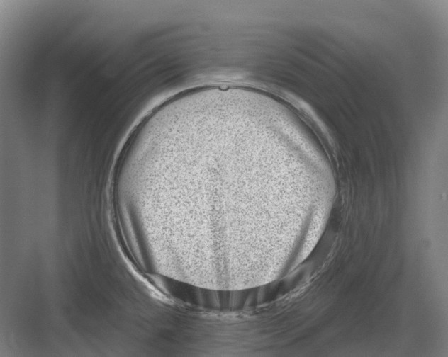 X0000082761432200702162014