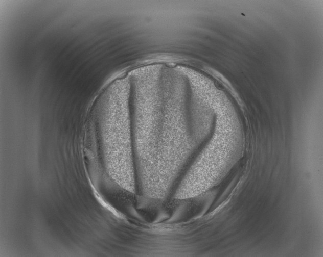 X0000082761433200702162014