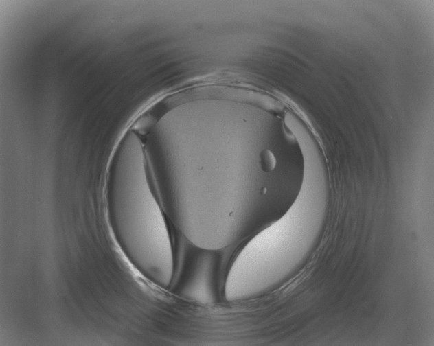 X0000082761434200702162014