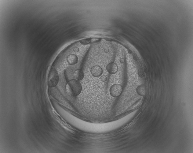 X0000082761435200702162014