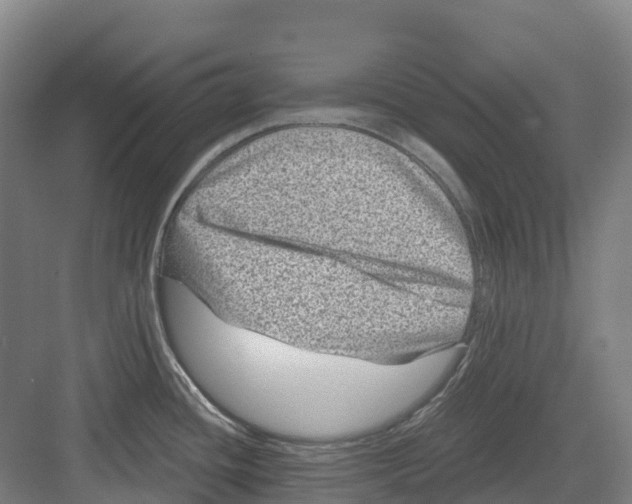 X0000082761436200702162014