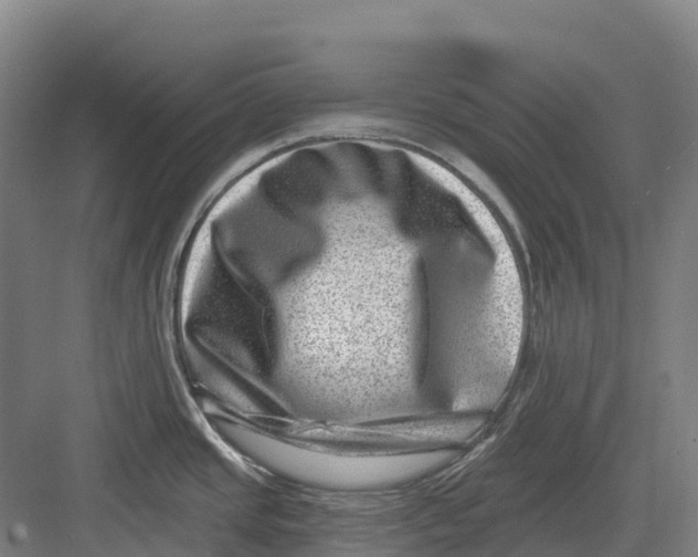 X0000082761437200702162014