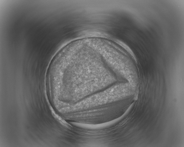 X0000082761439200702162014