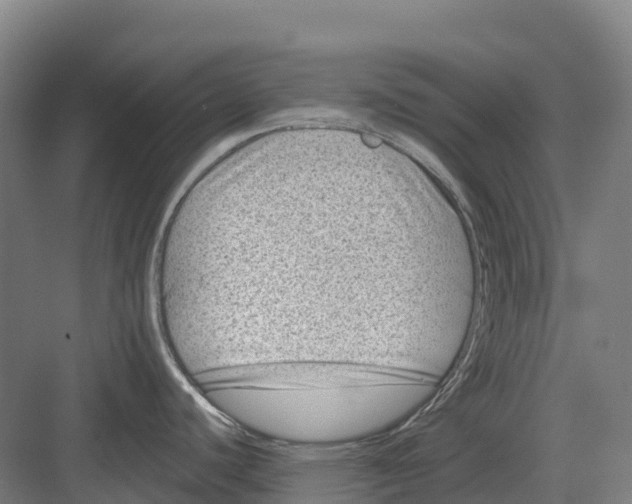 X0000082761440200702162014