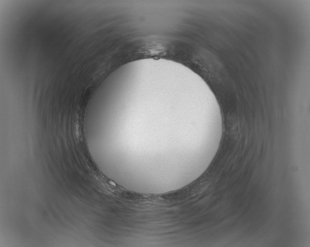 X0000082761442200702162013