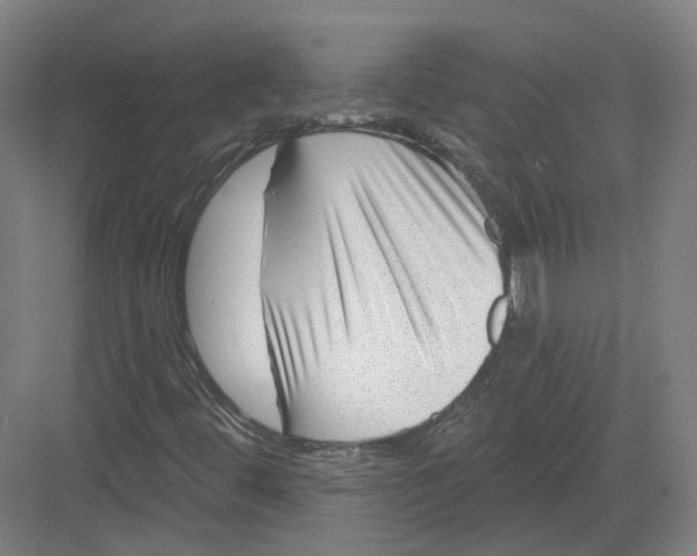 X0000082761444200702162013