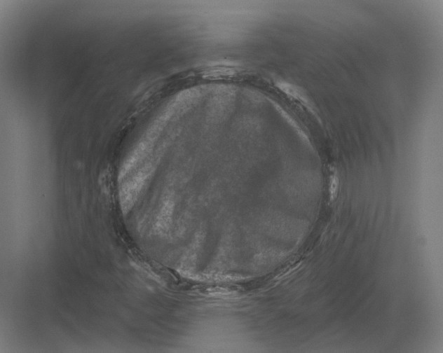 X0000082761445200702162013