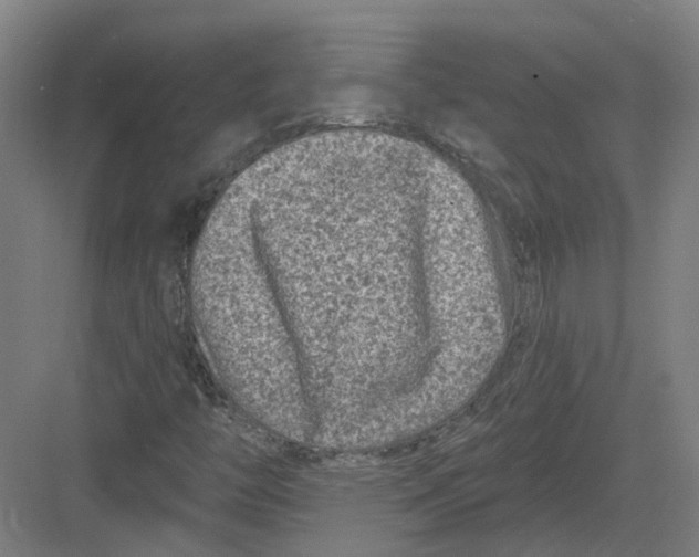 X0000082761446200702162013