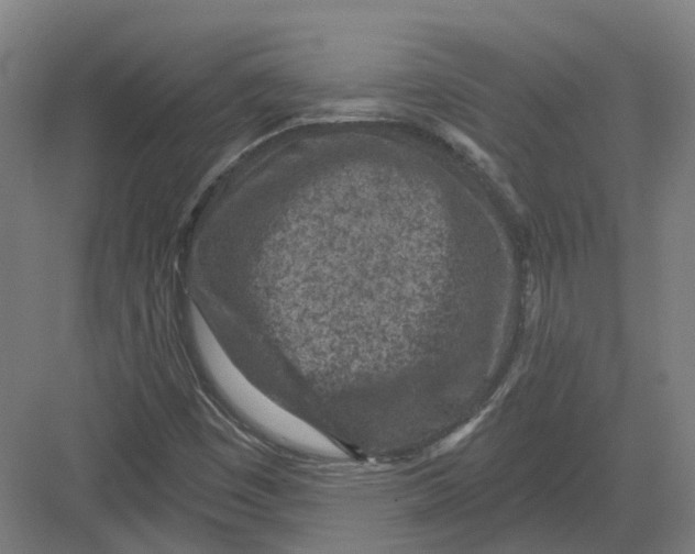 X0000082761449200702162013