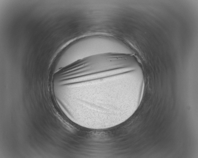 X0000082761452200702162013