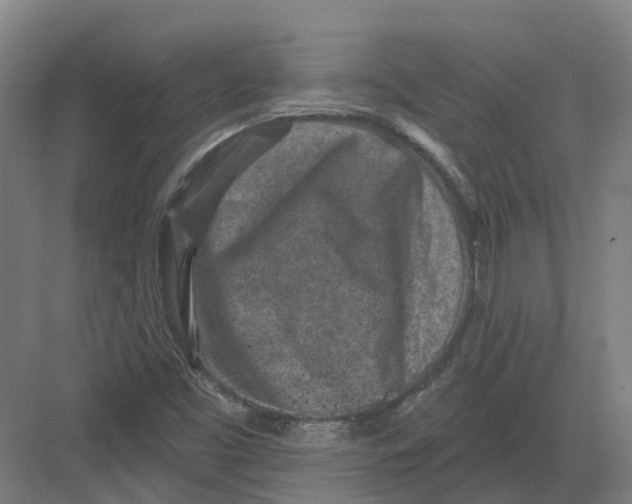 X0000082761453200702162013