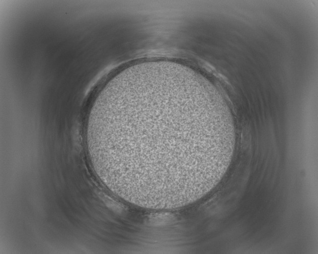 X0000082761454200702162013