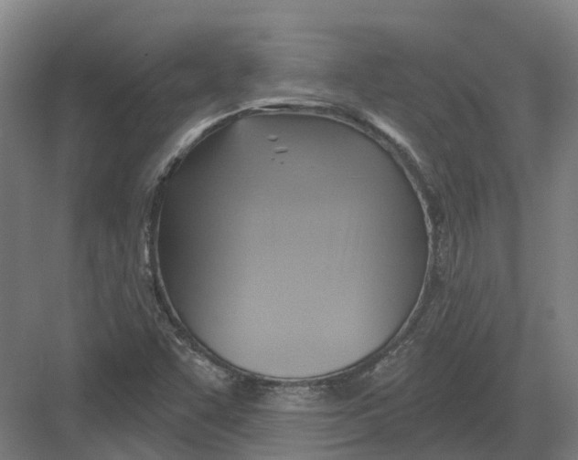 X0000082761455200702162013