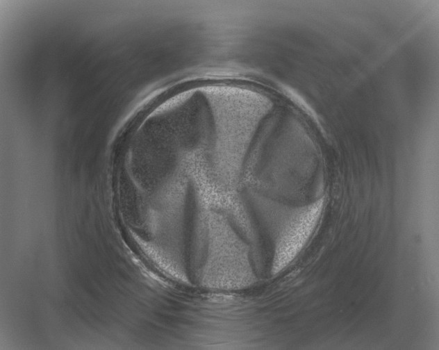 X0000082761456200702162013