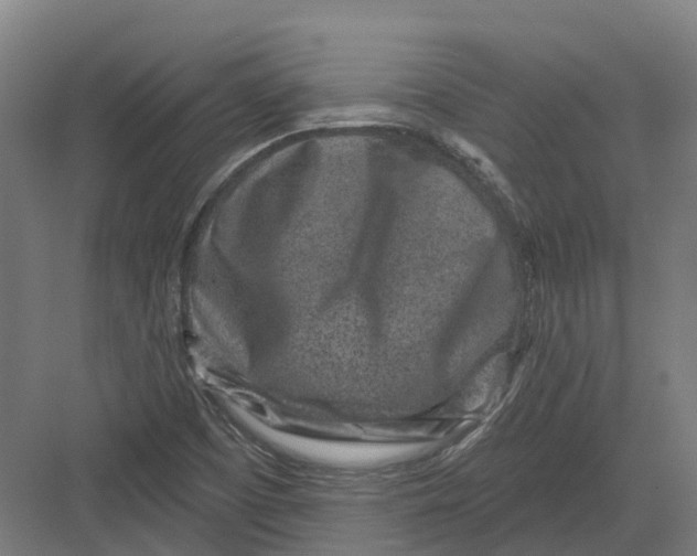 X0000082761457200702162013