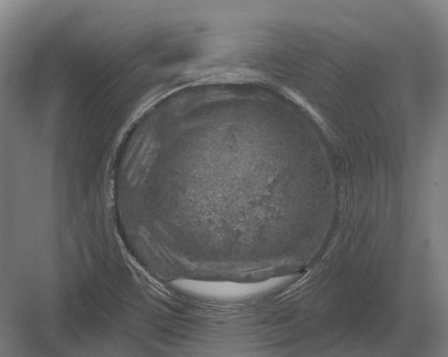 X0000082761459200702162013