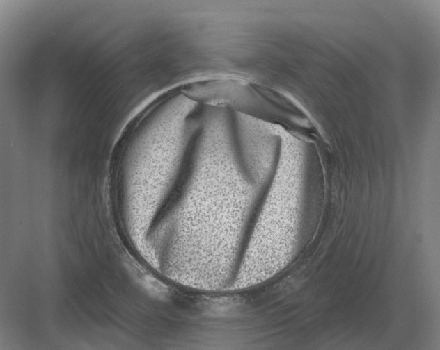 X0000082761460200702162013