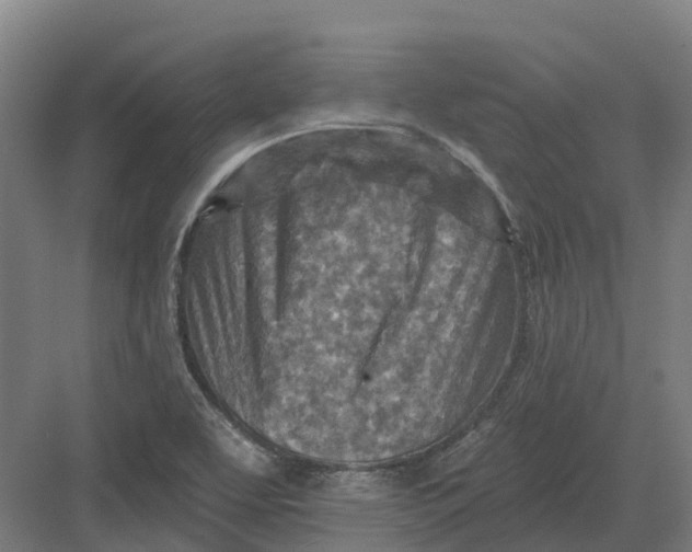 X0000082761463200702162013