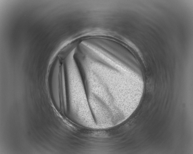 X0000082761464200702162013