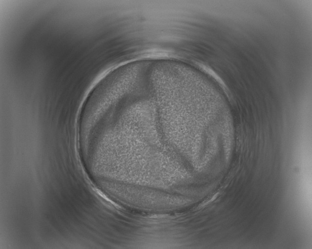 X0000082761467200702162013