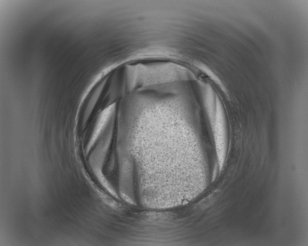 X0000082761469200702162013