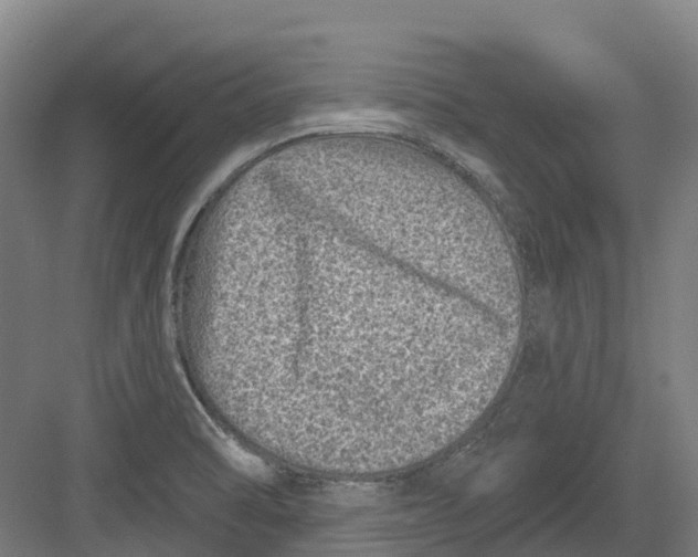 X0000082761470200702162013