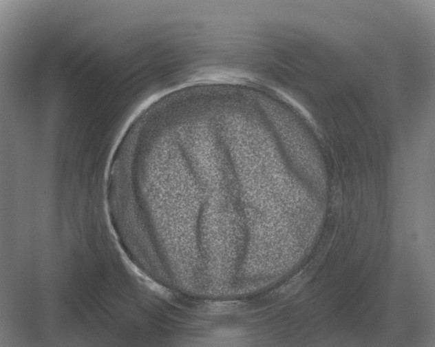 X0000082761471200702162013