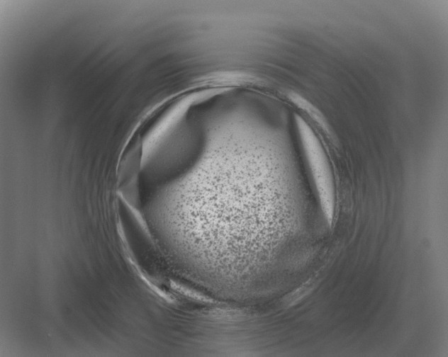 X0000082761473200702162012