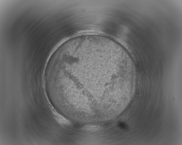 X0000082761474200702162012