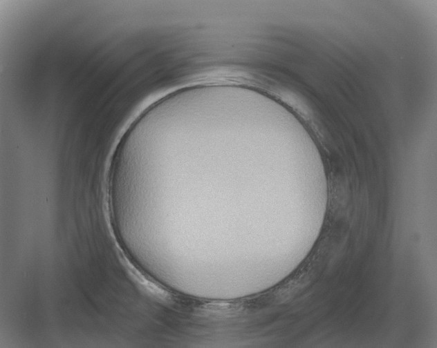 X0000082761478200702162012