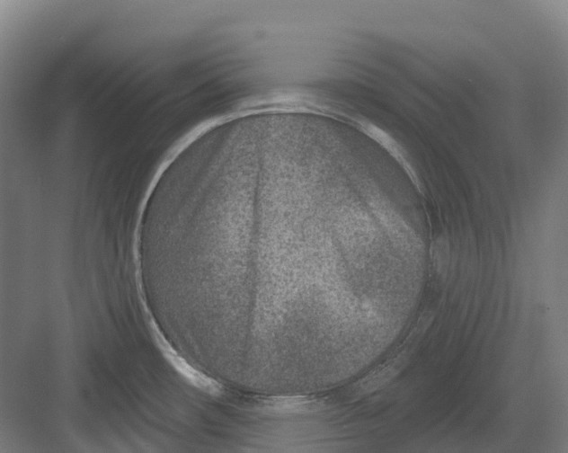 X0000082761482200702162012