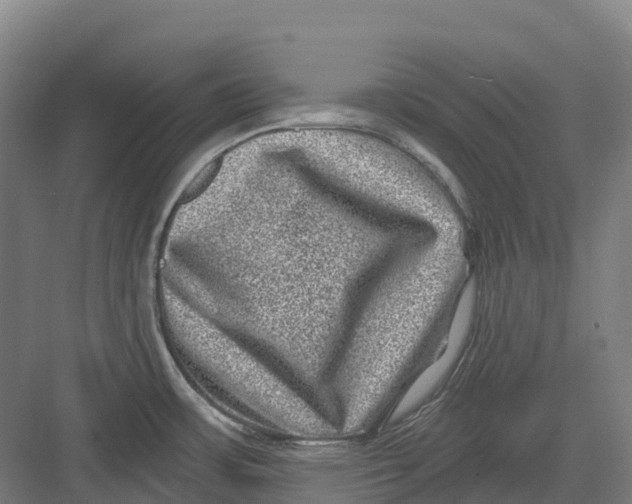 X0000082761483200702162012