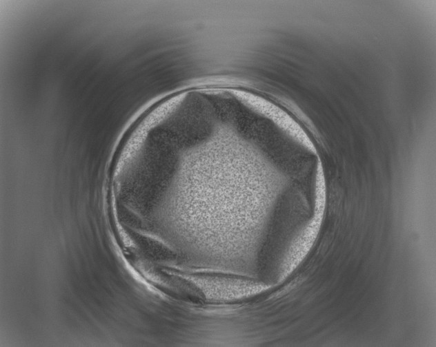 X0000082761484200702162012