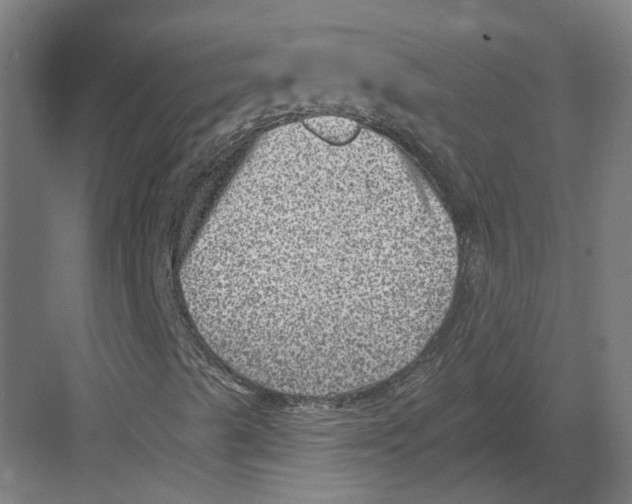 X0000082761489200702162011