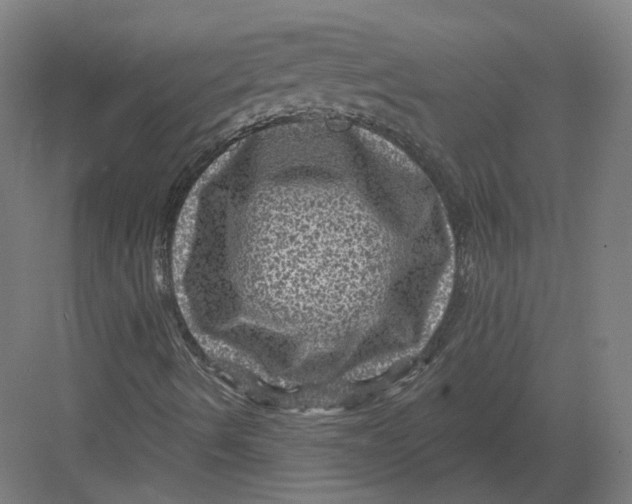 X0000082761490200702162011